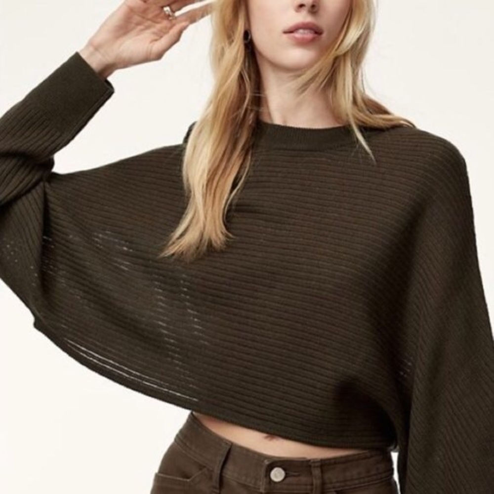 Aritzia Wilfred Lolan crop sweater